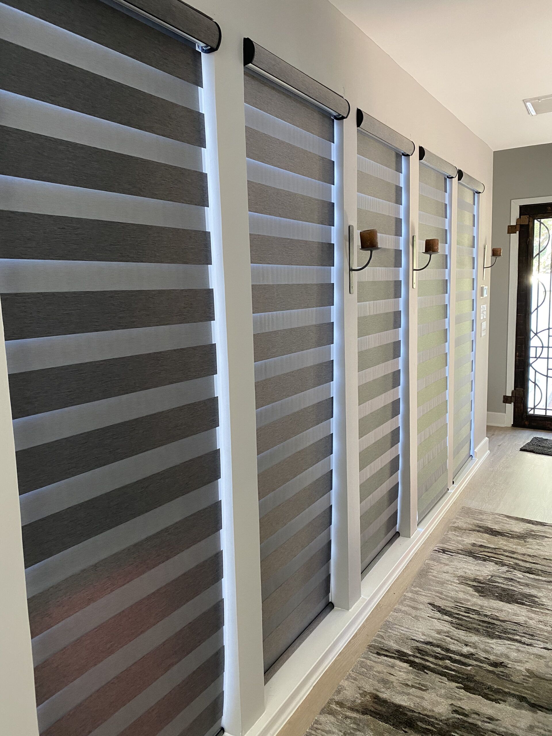 zebra shades style
